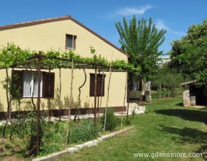 Old mulberry, private accommodation in city Fažana, Croatia