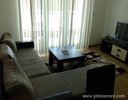 Apartman Budva , alloggi privati a Budva, Montenegro - Dnevna soba i izlaz na terasu