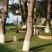 Thassos Resort, Magán szállás a községben Hanioti, G&ouml;r&ouml;gorsz&aacute;g