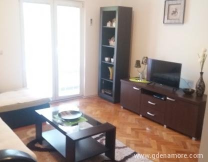 Apartment Dejan, private accommodation in city Budva, Montenegro - 20180722_100225