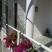 Appartamenti e camere Igalo-Arnautovic, alloggi privati a Igalo, Montenegro - Ulazna vrata