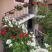 Apartmaji Balabu&scaron;ić, zasebne nastanitve v mestu Budva, Črna gora - 210595330