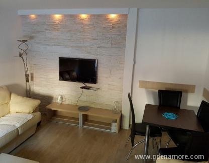 Apartments M., , private accommodation in city Budva, Montenegro - IMG-9eadcfadc8566ffb15e04e1bd28e526c-V