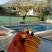 Зелен делфин, частни квартири в града Dobre Vode, Черна Гора - IMG_20210712_190446