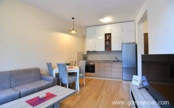 Apartman Ana, private accommodation in city Igalo, Montenegro