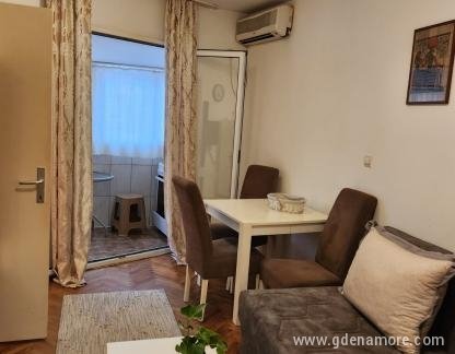 Apartman David, Privatunterkunft im Ort Budva, Montenegro - IMG-4359fc9e45a2aee3975080738607c07f-V