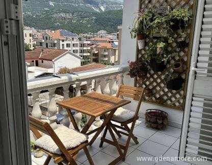 Apartman Mimi, Privatunterkunft im Ort Budva, Montenegro - viber_image_2023-06-24_09-48-38-490