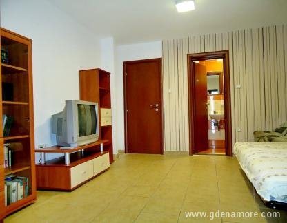 Privatna kuca, Studio apartman 3, privatni smeštaj u mestu Budva, Crna Gora