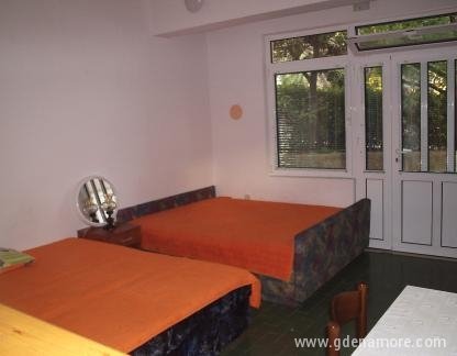 Apartmani Ota, , privat innkvartering i sted Igalo, Montenegro