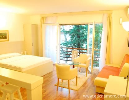 Hotel "Art Media" Zanjice, Studio apartment with french windows, private accommodation in city Zanjice, Montenegro