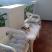 Vila Andjela, Studio za 3 osobe No. 3, private accommodation in city Budva, Montenegro - Balkon