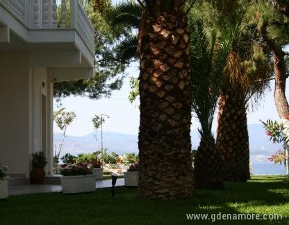 Posidonia Pension, private accommodation in city Amarinthos, Greece - Hotel Frontyard