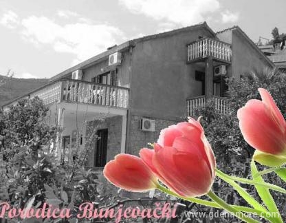 Porodica Bunjevački, Apartman 1, Magán szállás a községben Budva, Montenegró - Kuca/The house