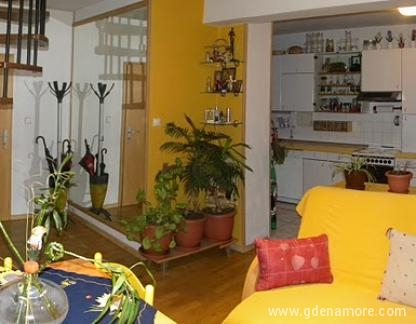 apartman, Privatunterkunft im Ort Ohrid, Mazedonien - apartman 1