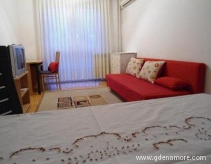 Apartment in Zagreb, Tre&scaron;njevka, private accommodation in city Zagreb, Croatia - dnevni boravak