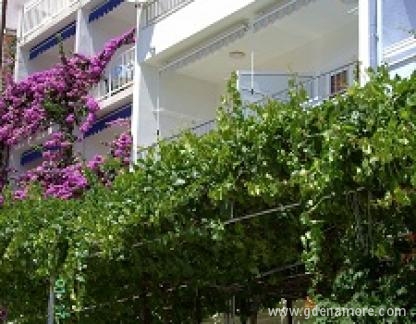 Apartments &amp;#34;Rose&amp;#34;, private accommodation in city Ba&scaron;ka Voda, Croatia