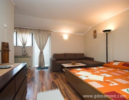 Apartments Bracic, private accommodation in city Suko&scaron;an, Croatia