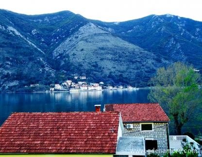 Apartmani Bogdanović, Privatunterkunft im Ort Kotor, Montenegro