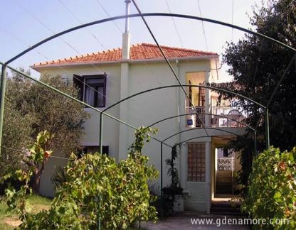 Апартаменти Jadranka Bibinje, частни квартири в града Bibinje, Хърватия - APARTMAN AP1