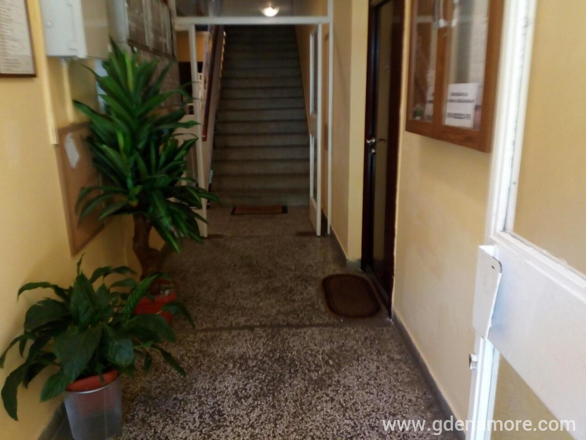 Stan na moru, alloggi privati a Herceg Novi, Montenegro - IMG-e7f0dd52b0833f3c22261b9edf8f8f73-V