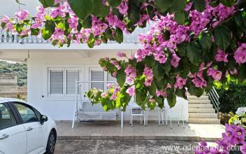Apartmanok Ivana, Magán szállás a községben Ulcinj, Montenegró