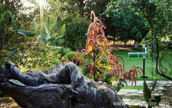 Jenny's Garden House, private accommodation in city Vourvourou, Greece
