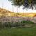 Olive Garden House, private accommodation in city Toroni, Greece - olive-garden-house-toroni-sithonia-12