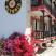 Petunia Hotel, privat innkvartering i sted Neos Marmaras, Hellas - petunia-hotel-neos-marmaras-sithonia-26