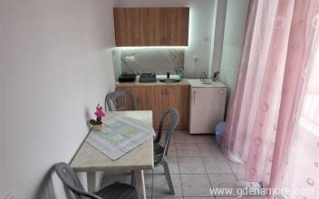 Spasic Apartments, private accommodation in city Olympic Beach, Greece