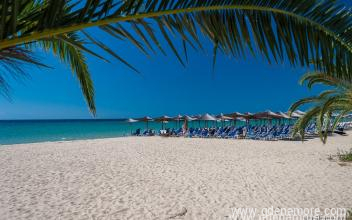 Theofilos-h&aacute;z, Mag&aacute;n sz&aacute;ll&aacute;s a k&ouml;zs&eacute;gben Triglia, G&ouml;r&ouml;gorsz&aacute;g