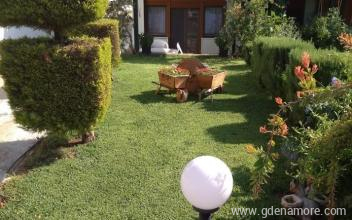 Thomai St&uacute;di&oacute;, Mag&aacute;n sz&aacute;ll&aacute;s a k&ouml;zs&eacute;gben Psakoudia, G&ouml;r&ouml;gorsz&aacute;g