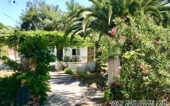 Athina-h&aacute;z, Mag&aacute;n sz&aacute;ll&aacute;s a k&ouml;zs&eacute;gben Pefkari, G&ouml;r&ouml;gorsz&aacute;g