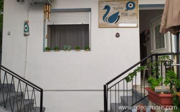 Pinelopi Studios, Mag&aacute;n sz&aacute;ll&aacute;s a k&ouml;zs&eacute;gben Potos, G&ouml;r&ouml;gorsz&aacute;g