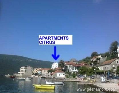 Citrus, , Частный сектор жилья Дженовичи, Черногория - pogled_sa_mula_na_kucu