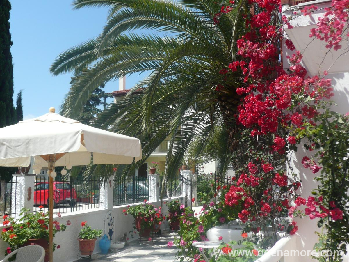 Amalthia studios, Magán szállás a községben Skiathos, Görögország - Amalthia studios