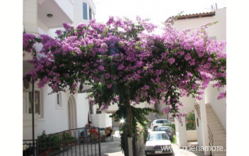 Bučuk apartmani, private accommodation in city Bečići, Montenegro