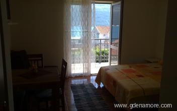 APARTMENTS TOMANOVIC, private accommodation in city Djenović, Montenegro