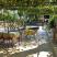 Apartments and rooms Catovic und Stange, private accommodation in city &Scaron;u&scaron;anj, Montenegro - Apartmani i sobe Catovic und Stange