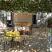 Apartments and rooms Catovic und Stange, private accommodation in city &Scaron;u&scaron;anj, Montenegro - Apartmani i sobe Catovic und Stange