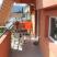 Apartmani Scepanovic, Privatunterkunft im Ort Tivat, Montenegro - Apartman 4