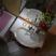 Apartmani Scepanovic, Privatunterkunft im Ort Tivat, Montenegro - Apartman 1