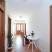 Apartmani Petkovic&amp;#34;Green Oasis&amp;#34;, logement privé à Budva, Mont&eacute;n&eacute;gro