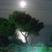 Villa Oasis, private accommodation in city Halkidiki, Greece - full moon