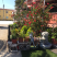 Apartmani Nikicic, privatni smeštaj u mestu Bar, Crna Gora