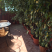 Apartmani Nikicic, privatni smeštaj u mestu Bar, Crna Gora
