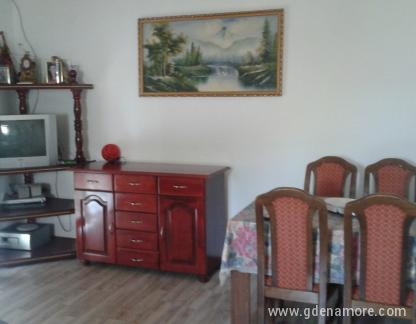 Apartman Snezana, private accommodation in city &Scaron;u&scaron;anj, Montenegro