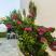 Afkos Apartments, private accommodation in city Polihrono, Greece