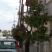 Militsa Apartments, частни квартири в града Nea Vrasna, Гърция