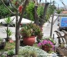 Niki House, private accommodation in city Sarti, Greece