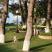 Tasos Resort, privatni smeštaj u mestu Hanioti, Grčka